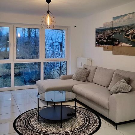 Schoene Und Ruhige Wohnung Direkt An Der Mosel Κόμπλεντς Εξωτερικό φωτογραφία